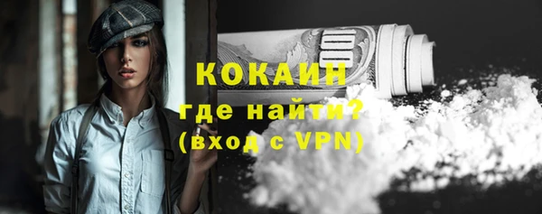 a pvp Горняк