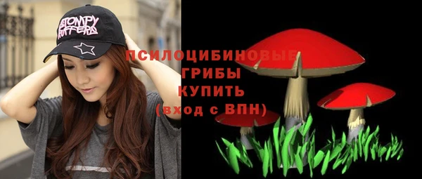 прущая мука Гусев