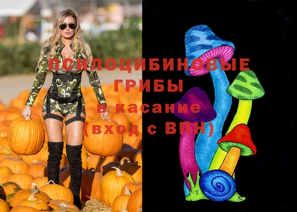a pvp Горняк