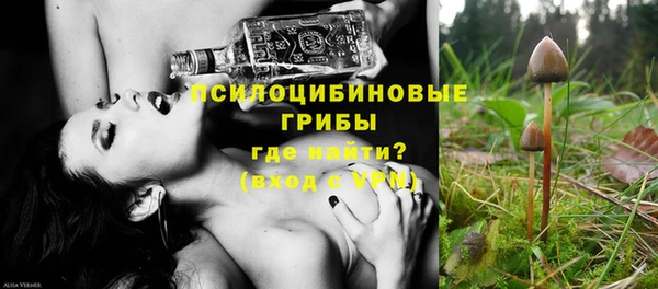 a pvp Горняк
