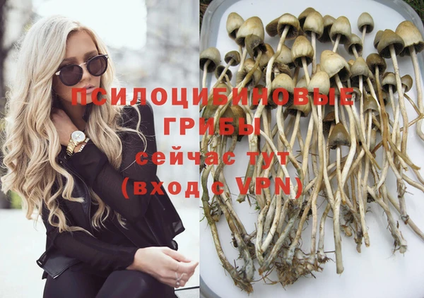 прущая мука Гусиноозёрск