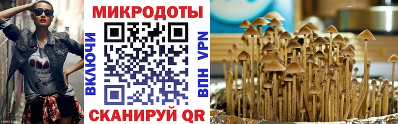 купить  сайты  Заинск  Псилоцибиновые грибы Cubensis 